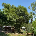 La Rocca B&B 까르미냐노
