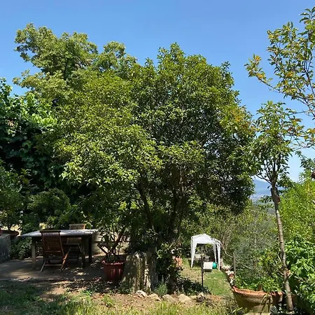 La Rocca Frühstückspension Carmignano