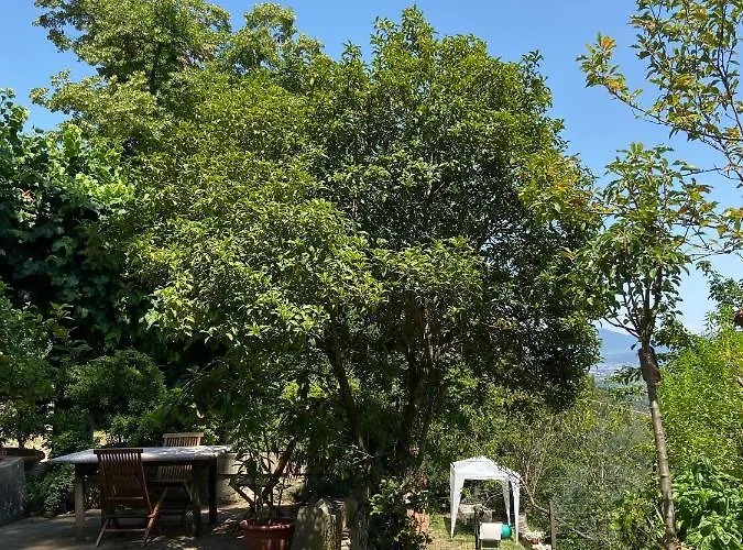 La Rocca Nocleg ze śniadaniem Carmignano