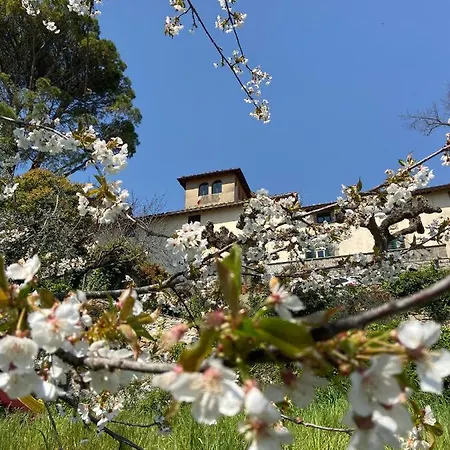 La Rocca *