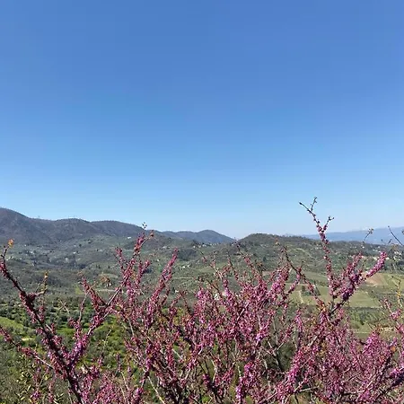 לינה וארוחת בוקר La Rocca *