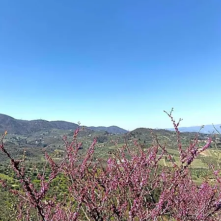 לינה וארוחת בוקר La Rocca *